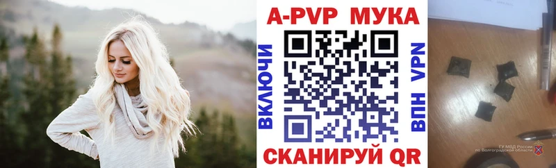 Альфа ПВП СК КРИС Славгород