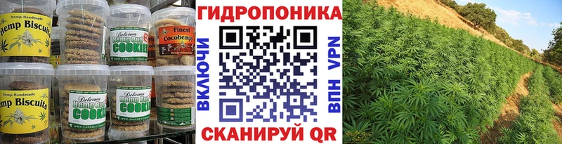Canna-Cookies марихуана  Купить закладки  Славгород 