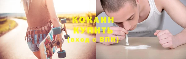 гашик Аркадак
