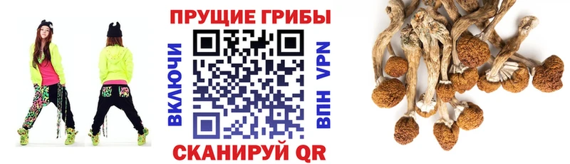 Купить  Славгород  Псилоцибиновые грибы Magic Shrooms 